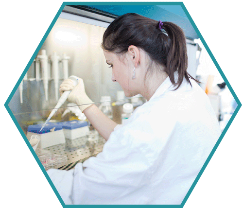 Paracelsus Reference Lab Software