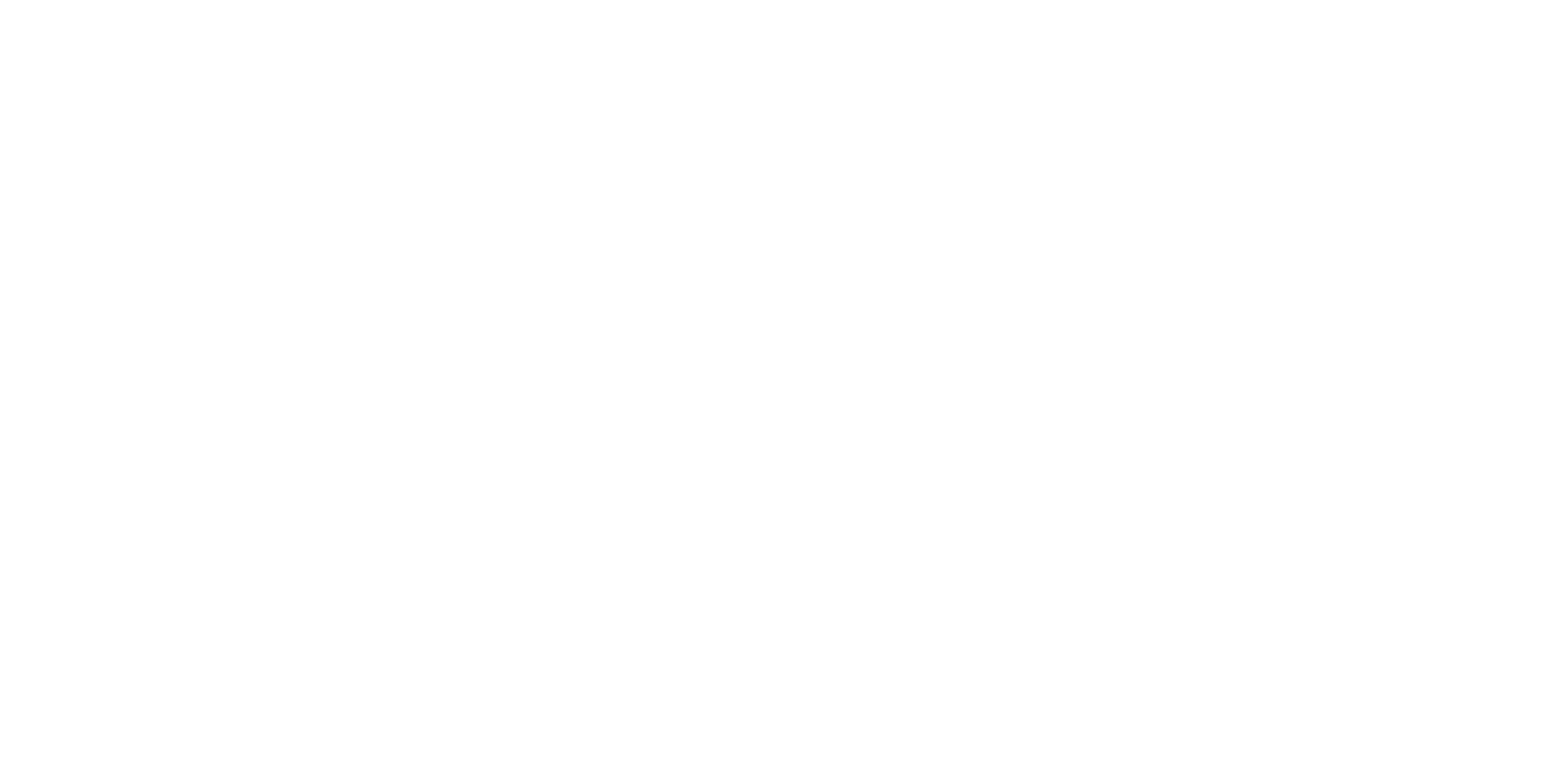 ACT Innovations White Logo